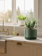 Plant Pot Large Ceramic Pots