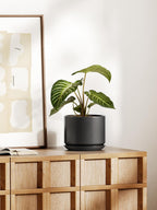 Plant Pot Large Ceramic Pots