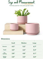 Plant Pot Large Ceramic Pots