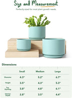 Plant Pot Large Ceramic Pots