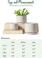 Plant Pot Large Ceramic Pots