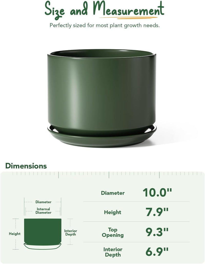 Plant Pot Large Ceramic Pots