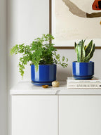 Plant Pot Large Ceramic Pots