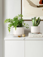 Plant Pot Large Ceramic Pots