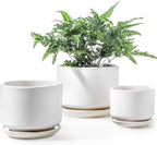 Plant Pot Large Ceramic Pots