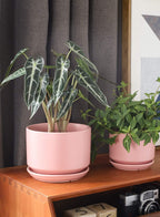 Plant Pot Large Ceramic Pots