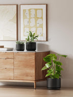 Plant Pot Large Ceramic Pots