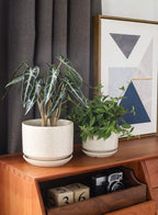 Plant Pot Large Ceramic Pots