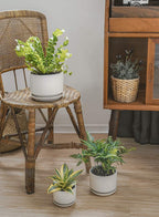 Plant Pot Large Ceramic Pots