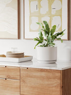 Plant Pot Large Ceramic Pots