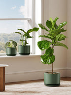 Plant Pot Large Ceramic Pots
