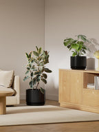 Plant Pot Large Ceramic Pots