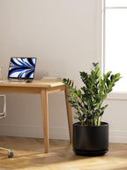 Plant Pot Large Ceramic Pots