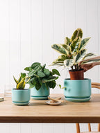 Plant Pot Large Ceramic Pots