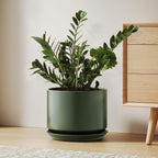 Plant Pot Large Ceramic Pots