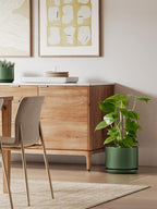 Plant Pot Large Ceramic Pots
