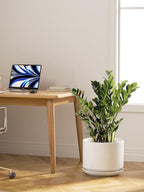 Plant Pot Large Ceramic Pots