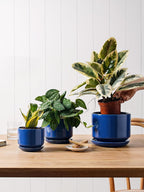 Plant Pot Large Ceramic Pots