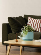 Plant Pot Large Ceramic Pots
