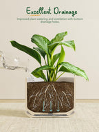 Plant Pot Large Ceramic Pots