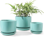 Plant Pot Large Ceramic Pots