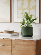 Plant Pot Large Ceramic Pots