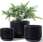 Plant Pot Large Ceramic Pots