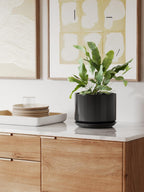 Plant Pot Large Ceramic Pots