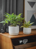 Plant Pot Large Ceramic Pots