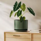 Plant Pot Large Ceramic Pots