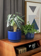 Plant Pot Large Ceramic Pots