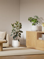 Plant Pot Large Ceramic Pots