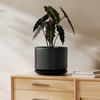 Plant Pot Large Ceramic Pots
