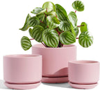 Plant Pot Large Ceramic Pots
