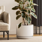 Plant Pot Large Ceramic Pots