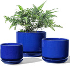 Plant Pot Large Ceramic Pots