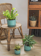 Plant Pot Large Ceramic Pots