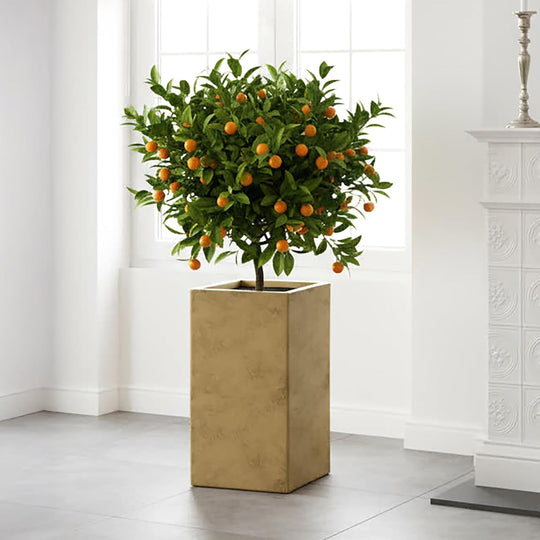 Plant Pots Indoor Pot Tall Reinforced Stone (1 Pack)