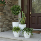 Plant Pots 25 30 35.5 30CM Diameter 26