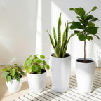 Plant Pots 25 30 35.5 30CM Diameter 26