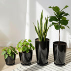 Plant Pots 25 30 35.5 30CM Diameter 26