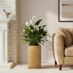 Plant Pots Indoor Pot Reinforced Stone