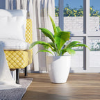 Plant Pots Pack 10 Inch Pot (Set of 2)