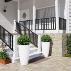 Plant Pots Pack 10 Inch Pot (Set of 2)