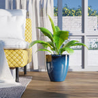 Plant Pots Pack 10 Inch Pot (Set of 2)