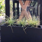Plant Pots Window Box Planter Reinforced Stone