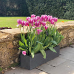 Plant Pots Window Box Planter Reinforced Stone
