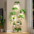 Plant Stand