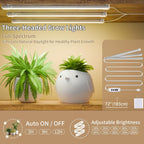 Plant Stand