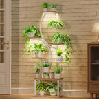 Plant Stand